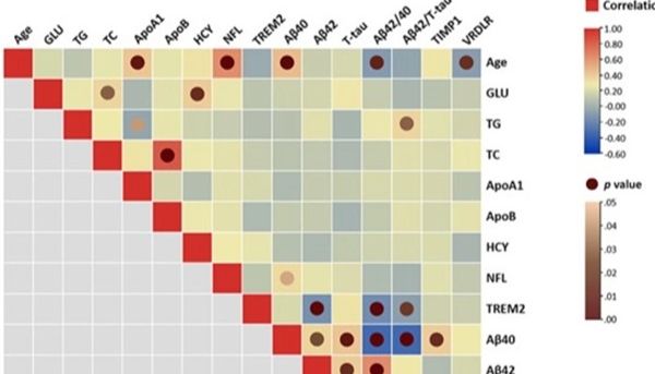 LabEx MSD平台助力探索脑结构磁共振成像和血液参数的模型