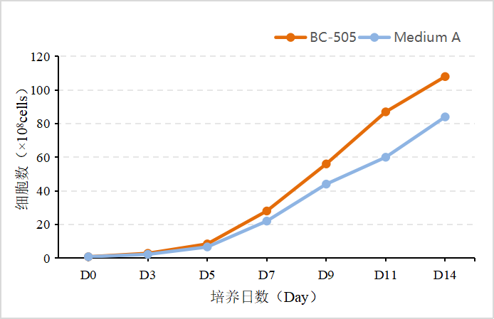 贝索细胞/CSTI | 无血清细胞培养基BC-505