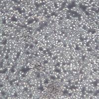 YAC-1细胞、YAC-1细胞株、YAC-1细胞系