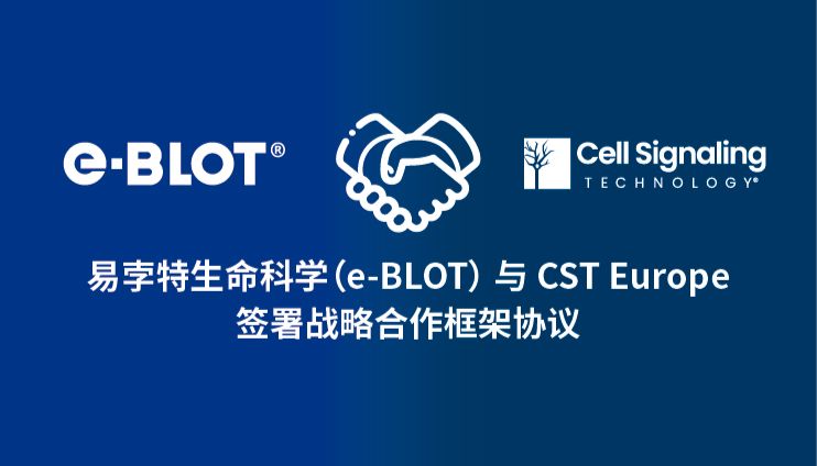 易孛特（e-BLOT）与 CST Europe 签署战略合作框架协议