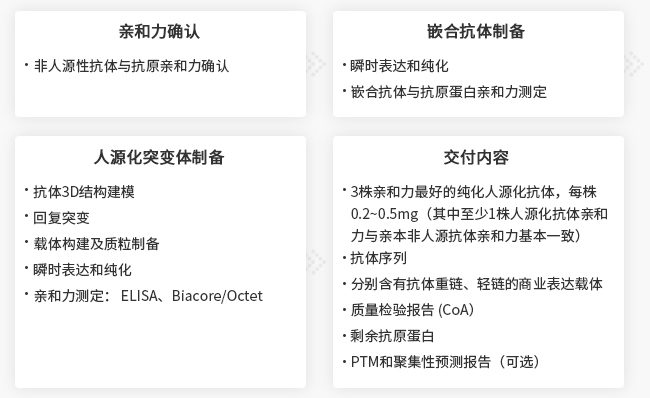 抗体人源化服务