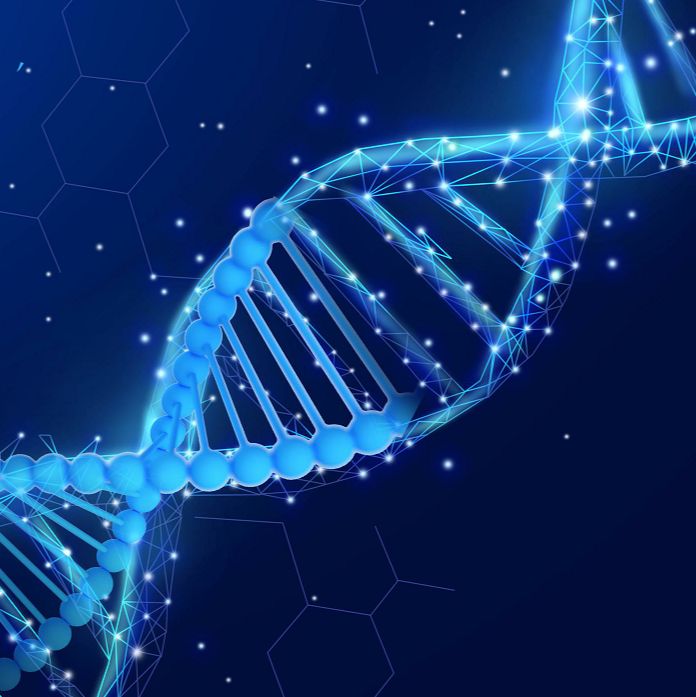 全外显子组测序（WES）