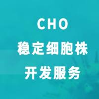 CHO 稳定细胞株开发服务
