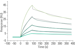 产品细节图片12