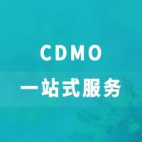 CDMO一站式服务