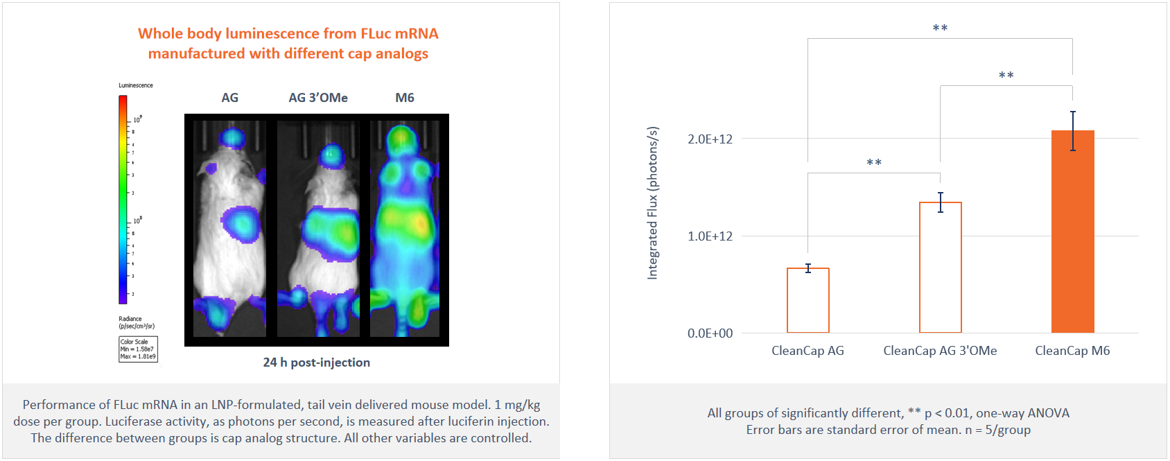CleanCap®M6 mRNAs CleanCap®M6 mRNAs