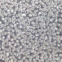 TF-1 细胞、TF-1 细胞系、TF-1 红系白血病细胞