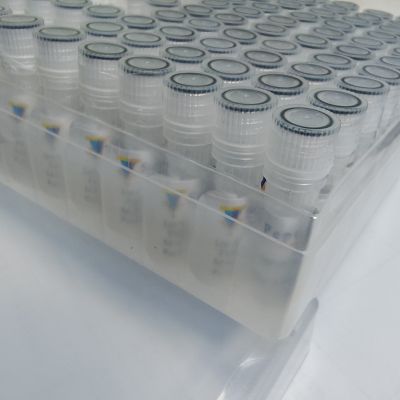 Flg22, Flagellin Fragment