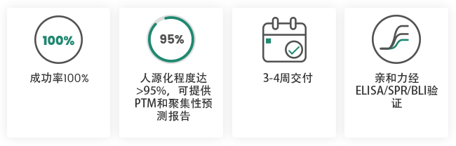 抗体人源化服务