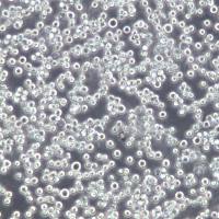 H22细胞、H22细胞株、H22细胞系