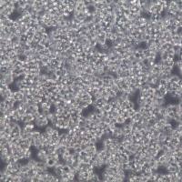 A20细胞株、A20细胞、A20细胞系