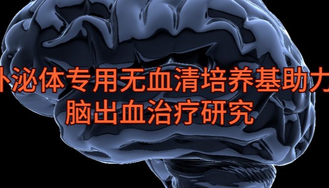 IF=9.3 | Umibio外泌体专用无血清培养基UR51102助力客户脑出血治疗研究！