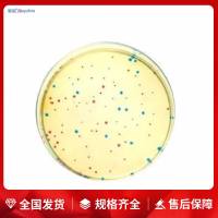 胰蛋白胨大豆琼脂(TSA)(ISO9038-1-2000)