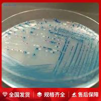 新生霉素(125μg/支)