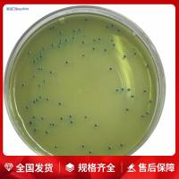 乳糖发酵管(军团菌)