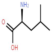 L-亮氨酸（白氨酸）