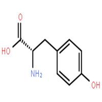 L-酪氨酸