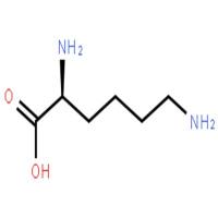 L-赖氨酸