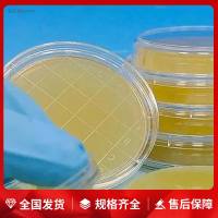 MS维生素混合物