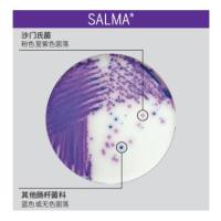 梅里埃显色培养基-SALMA 沙门氏菌显色培养基