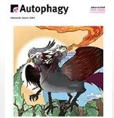 【Autophagy】贵州医科大学郭兵团队揭示自噬与肥胖研究新进展