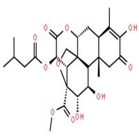 鸦胆子素A;鸦胆子苦素A