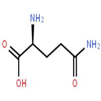 L-谷氨酰胺