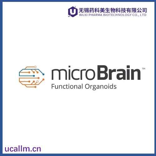 Micro Brain