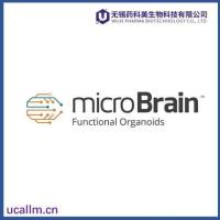Micro Brain