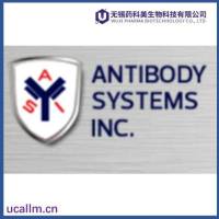 Antibody Systems