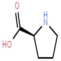L-脯氨酸