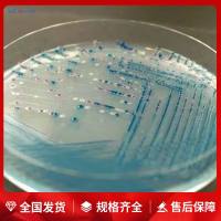 Hanks氏病毒保存液(pH7.4-7.6)