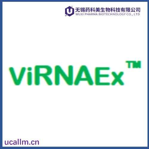Virnaex