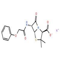 青霉素V钾