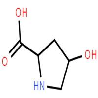 L-羟脯氨酸