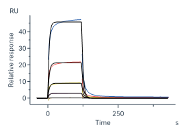 Recombinant Human EGF Protein（