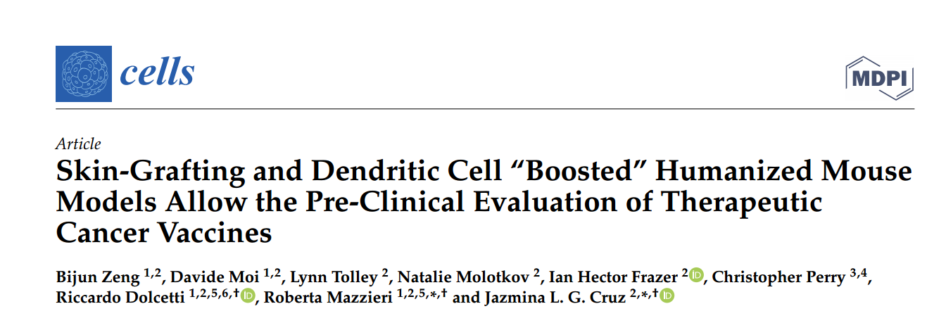 文献解读|皮肤移植和树突状细胞“增强”的人源化小鼠模型在治疗性癌症疫苗的临床前评估