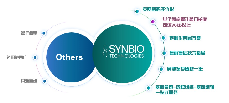 微生物基因组编辑