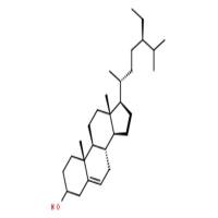 β-谷甾醇