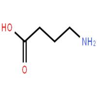 γ-氨基丁酸