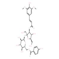 细叶远志苷B;远志糖苷B