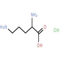 L-鸟氨酸盐酸盐
