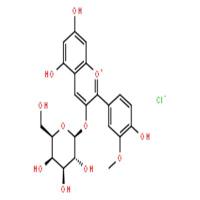 氯化芍药素-3-O-半乳糖苷