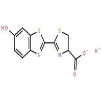 D-荧光素钾盐