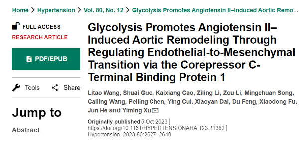 Hypertension：广州医科大学发现主动脉重构调控新机制