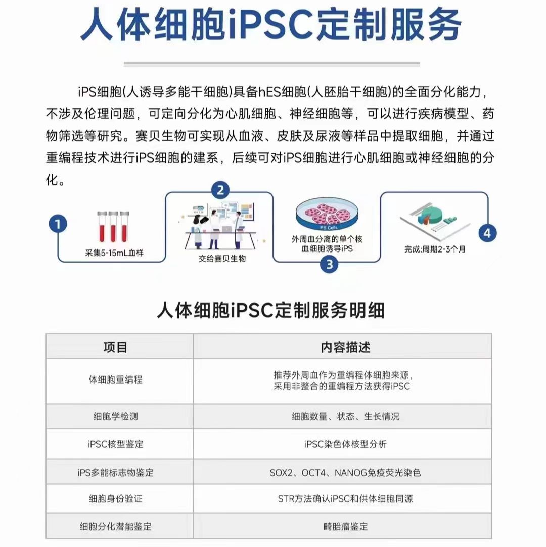 人多潜能干细胞（hiPSC）技术服务总览