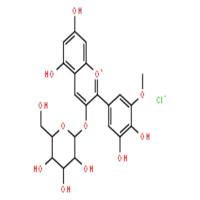 氯化矮牵牛素-3-O-葡萄糖苷