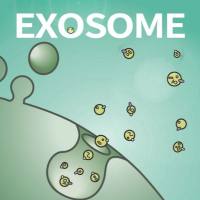外泌体检测