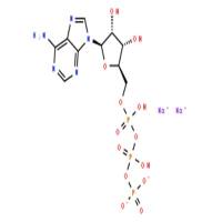 5-腺苷三磷酸二钠盐