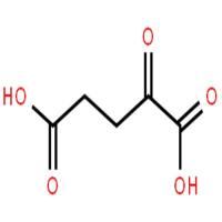 α-酮戊二酸